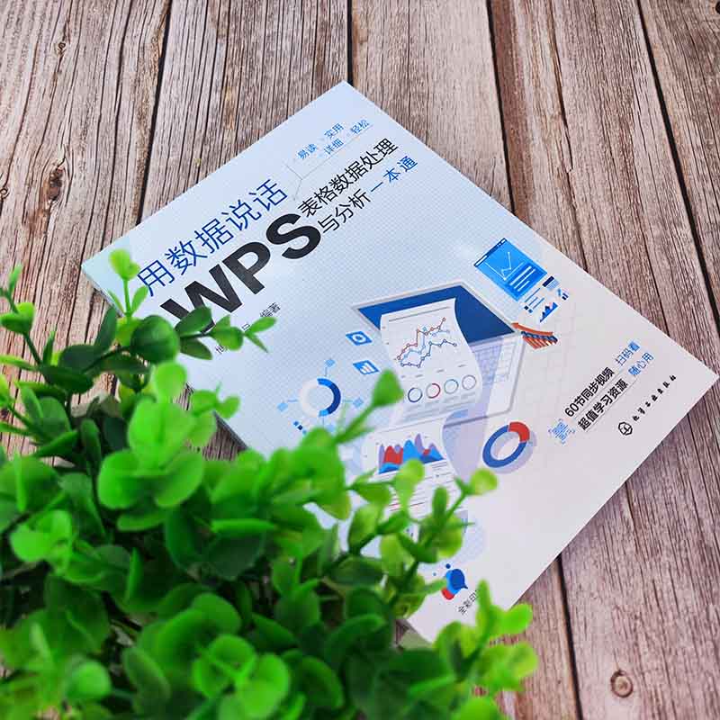 用数据说话:WPS表格数据处理与分析一本通详情图