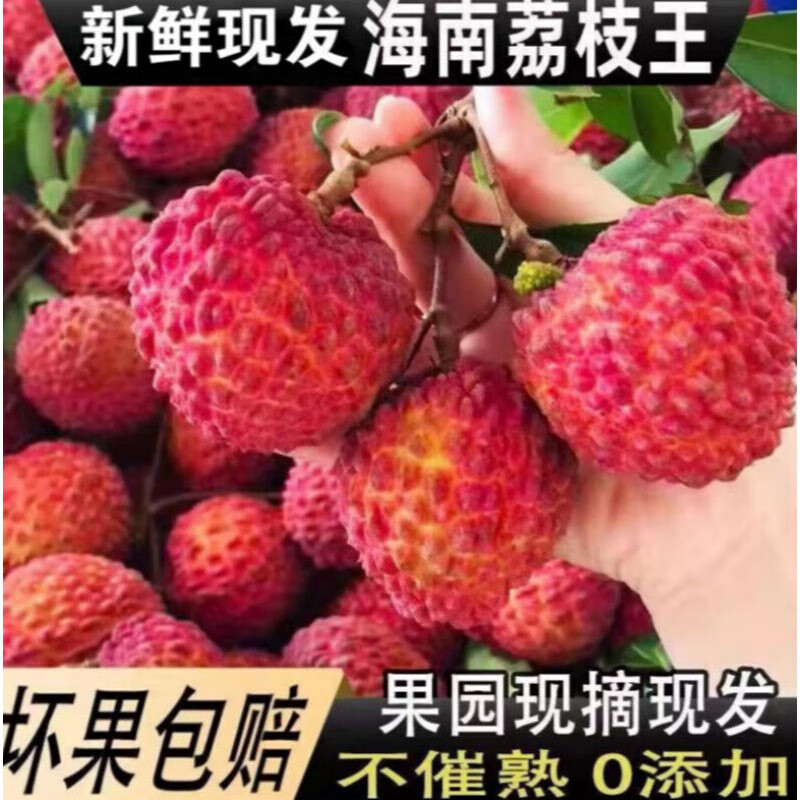 皓谦海南火山荔枝王大荔枝妃子荔枝水果荔枝清甜多汁应季鲜果 4斤荔枝