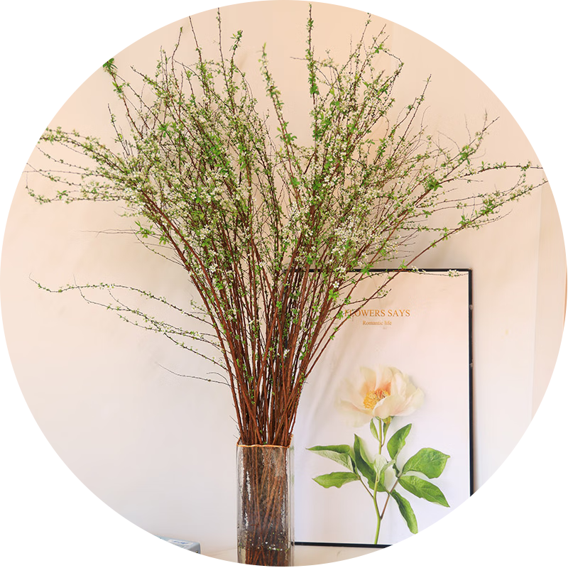 ���̸�֦֧��֦ˮ��ˮ��ֲ���ʻ�������������ֲ ѩ����֦70-80cm10֧