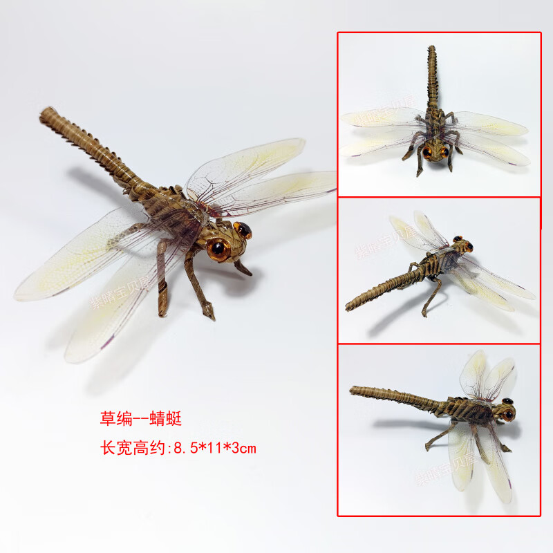 何佳功草编棕编织蚂蚱 草编棕编棕榈叶手工编昆虫蚂蚱蜘蛛手工编织