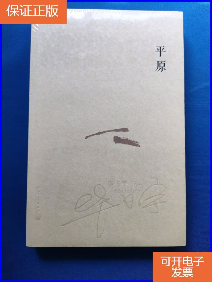 【正版9成新】毕飞宇文集:平原