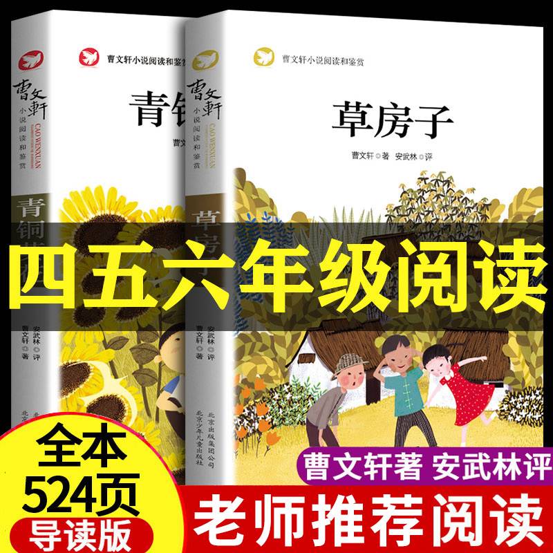江苏经典文学入选中小学指导阅读目录畅销6 【全2册】草房子 青铜葵花