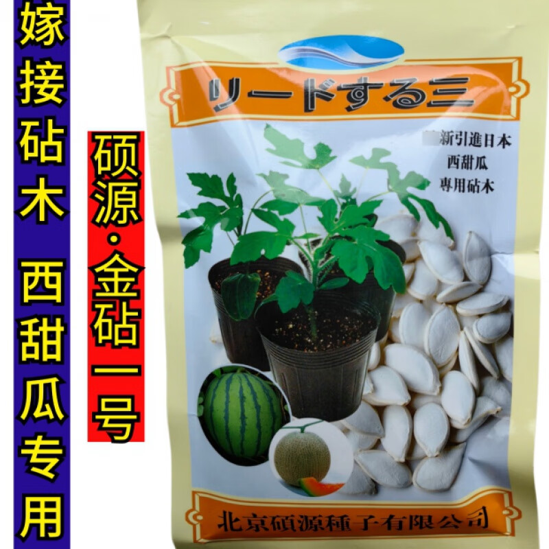 ԰רľ޽Ϲ糡ÿһճľ 100ˡһš