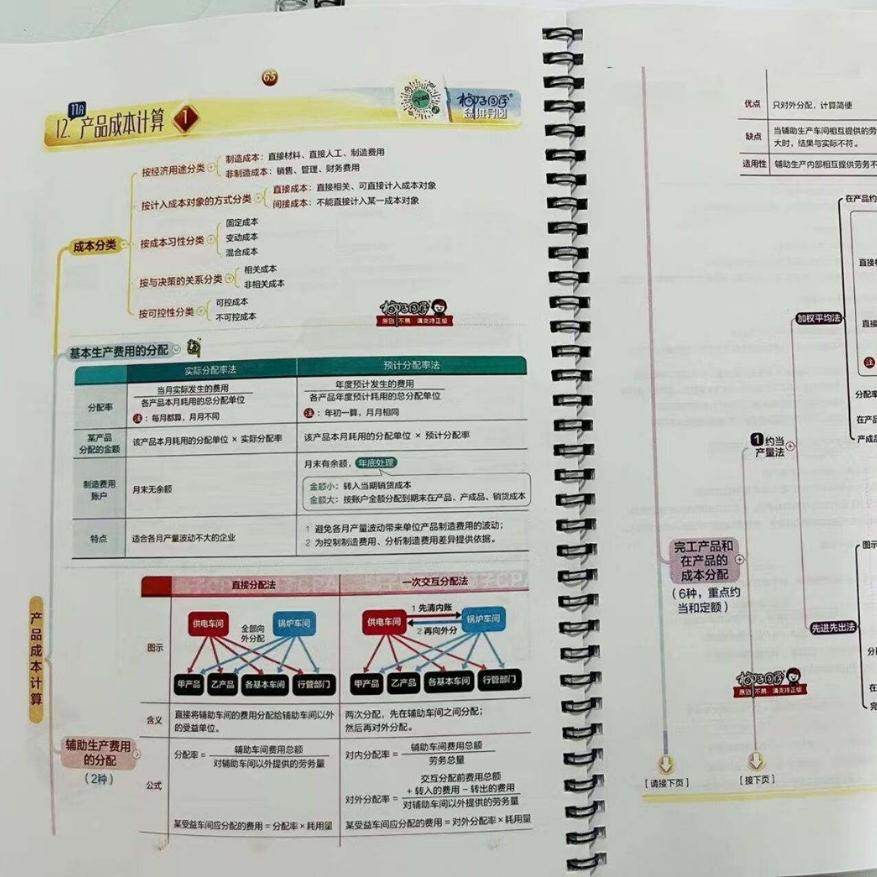 2024注会cpa椰子思维导图彩印注会椰子导图注册会计师冲刺 2024计椰子