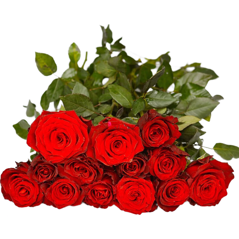 ����ֱ��8��õ���ϸ���׮�ļ������¼�����������̨���Դ�Ũ�� ��õ����԰��ļ�������һ�� ����8����׮ ������ 4.8Ԫ