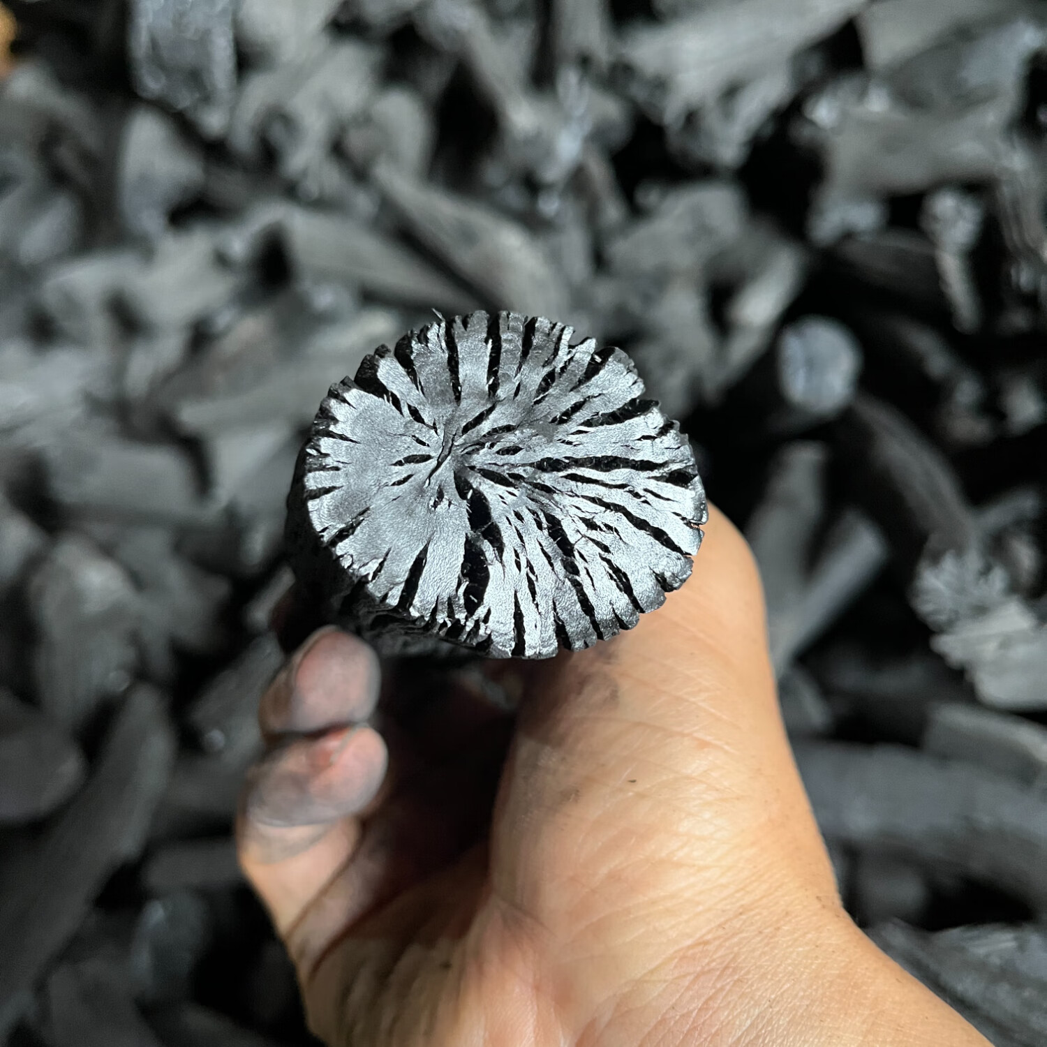 烧烤炭木炭无烟围炉煮茶烤火取暖铜火锅烤火炉荔枝苹果梨木原木炭 精选小块荔枝炭（ 易点燃，适合小炉） 9.5斤（含箱）