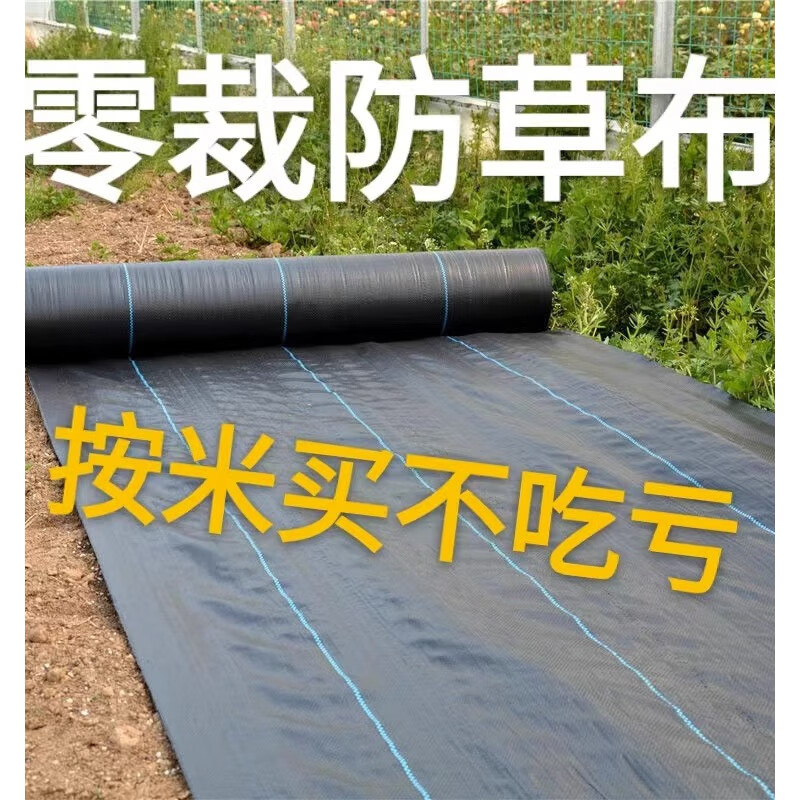 云舵除草布果園林園藝抑草布透氣透水農(nóng)用大棚加厚抗老化遮草布蓋草布 11厘米地釘100個(gè)