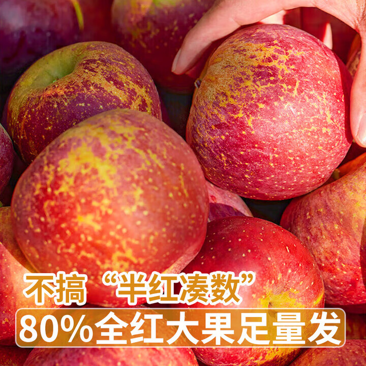 觅百果正宗云南昭通丑苹果冰糖心苹果水果新鲜红富士当季特产送礼整箱 净重9斤大果【80-85mm】约18-21枚