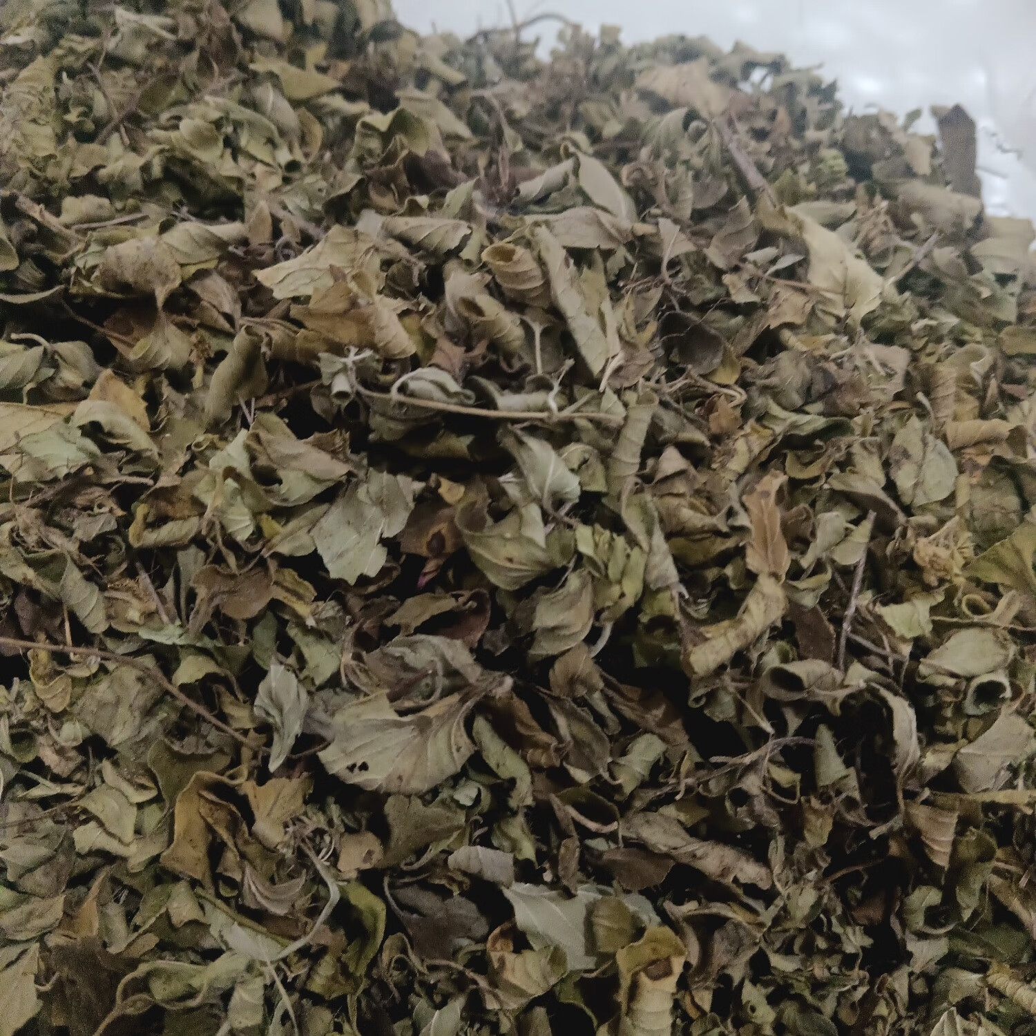 香薷茶香茹茶香浓草茶香炉草野生枝叶现晒香浓茶牛至 现晒50克