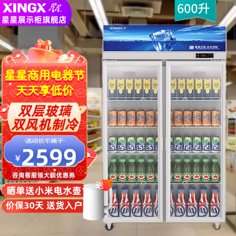 星星（XINGX）冰柜商用展示柜冷藏立式飲料柜便利店超市啤酒柜大容量商用冰箱保鮮柜 升級(jí)溫顯 雙門 LSC-618Y