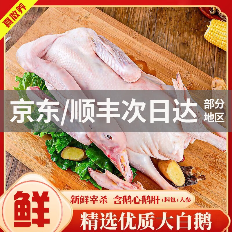 颐乡情现杀大鹅农家散养大白鹅整只土鹅冷冻鹅肉生鲜五谷喂养热门商品 大鹅11斤【杀后净重6.5-7斤/只】+料包+鲜参