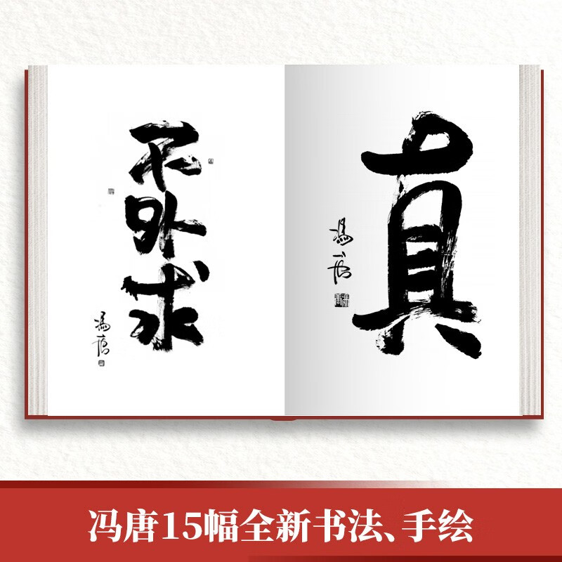 稳赢（2024新书 冯唐半生成事哲学力作！稳住自己就赢了，赠稳赢之道思维导图、书法签！）