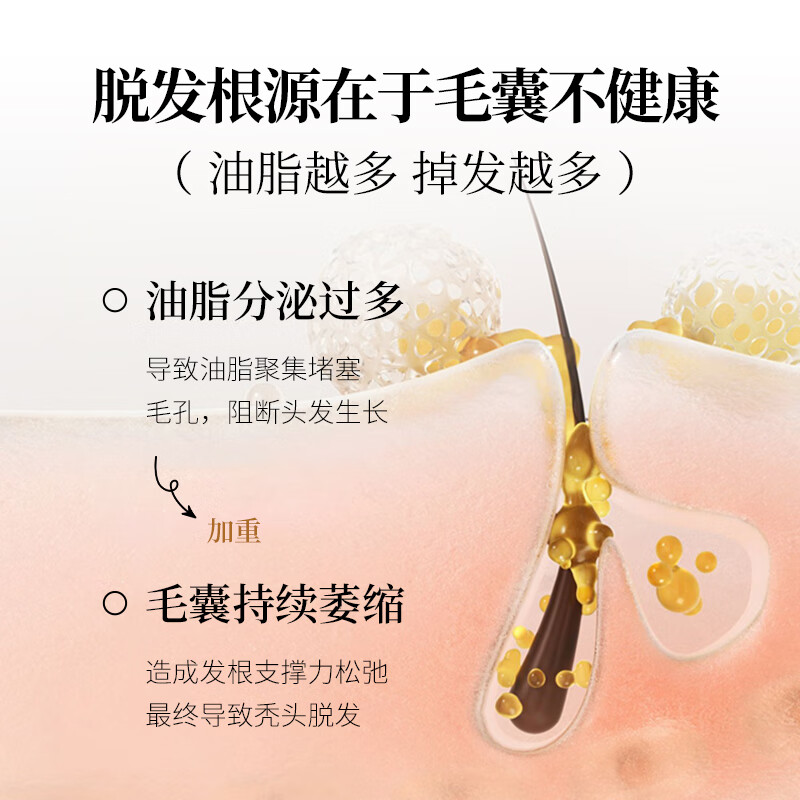 墨兰公主防脱固发洗发水多重功效侧柏叶新配方确保有效2025年红色强效新版 【红瓶加强版】防脱固发洗发水x1瓶 400ml*1瓶