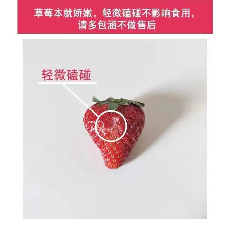 金百粟大凉山新鲜草莓红颜99 水果甜奶油草莓 生鲜礼盒送礼 【顺丰到家】大凉山草莓2盒特大果彩箱送礼
