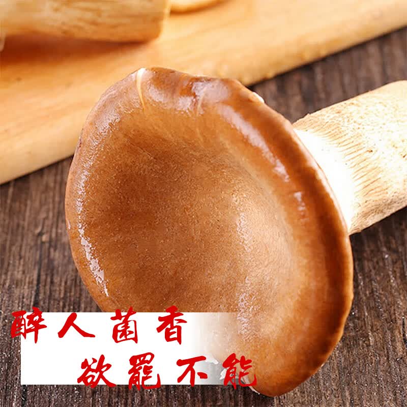 百年云松【2026新鲜猪肚菌】香格里拉鲜菌菇 猪肚菇 大伞菇 新鲜速达 新鲜猪肚菌 800克