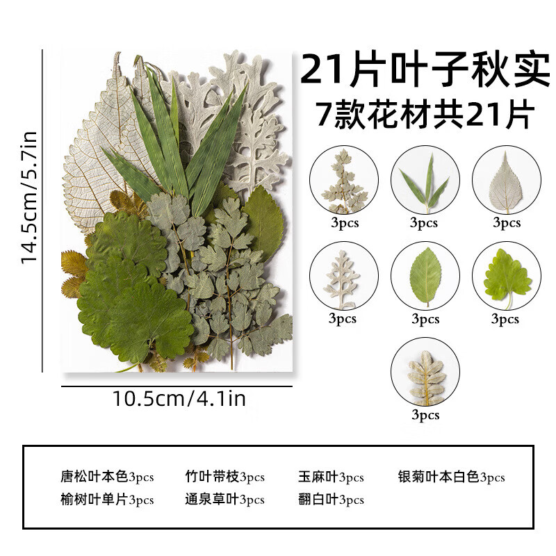 萌念树叶手工贴画幼儿园树叶贴画 干花压花diy写真贴脸装饰真蓝晒植物