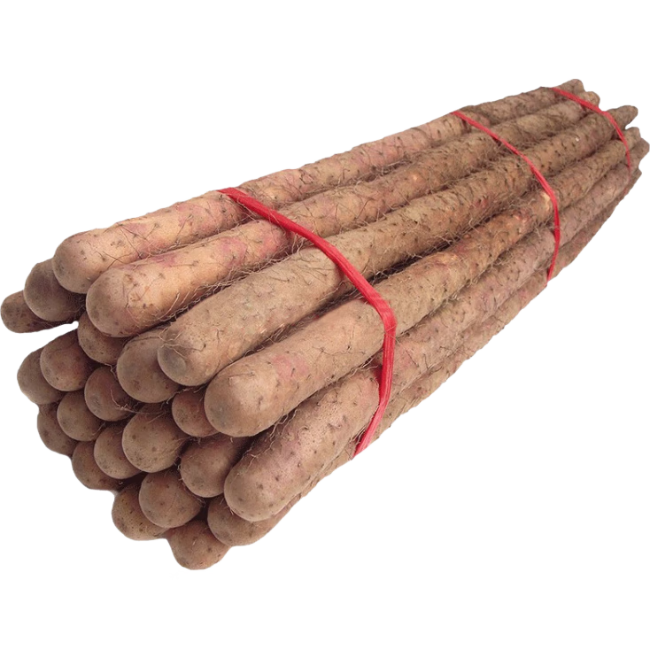 鲜铁棍山药 铁杆淮山药 河南焦作怀府特产铁棍怀山药 新鲜铁棍山药5斤 长山药