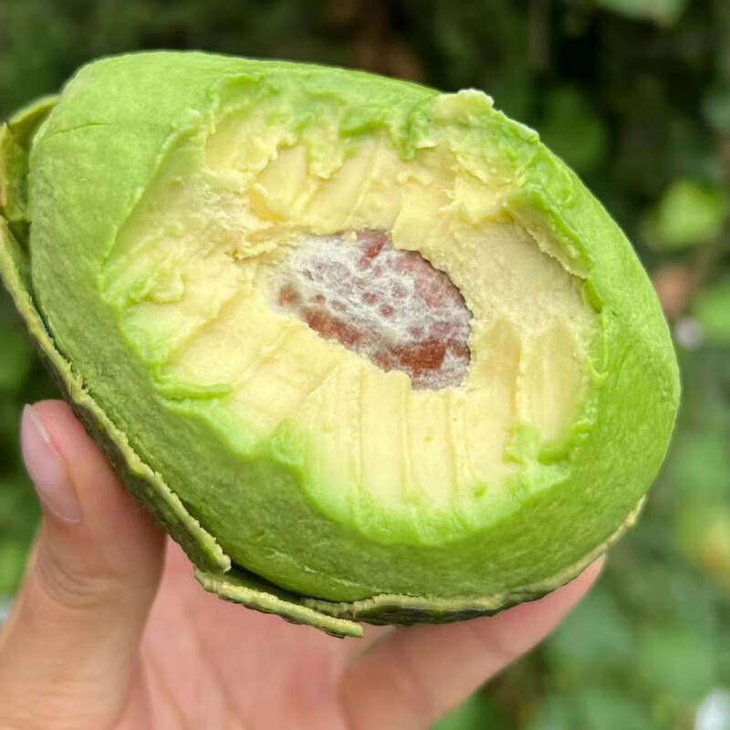 觅百果墨西哥牛油果新鲜水果大果当季应季进口一级鳄梨生鲜孕妇减脂整箱 4粒鼻祖级【180-210g】稀世果王