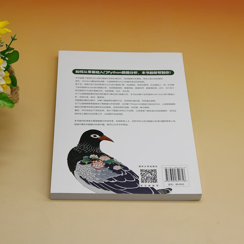 Python数据分析快速上手