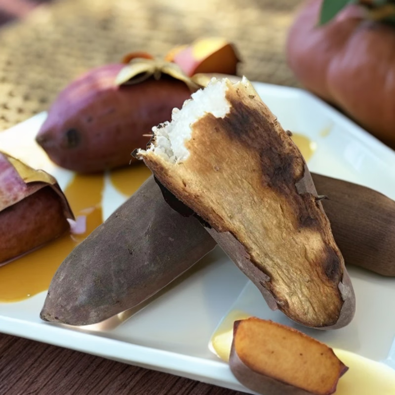 古寨山山东牛奶哈蜜冰糖薯白心红沙地软糯香甜烤地瓜番薯中果 净重4.5斤严选装