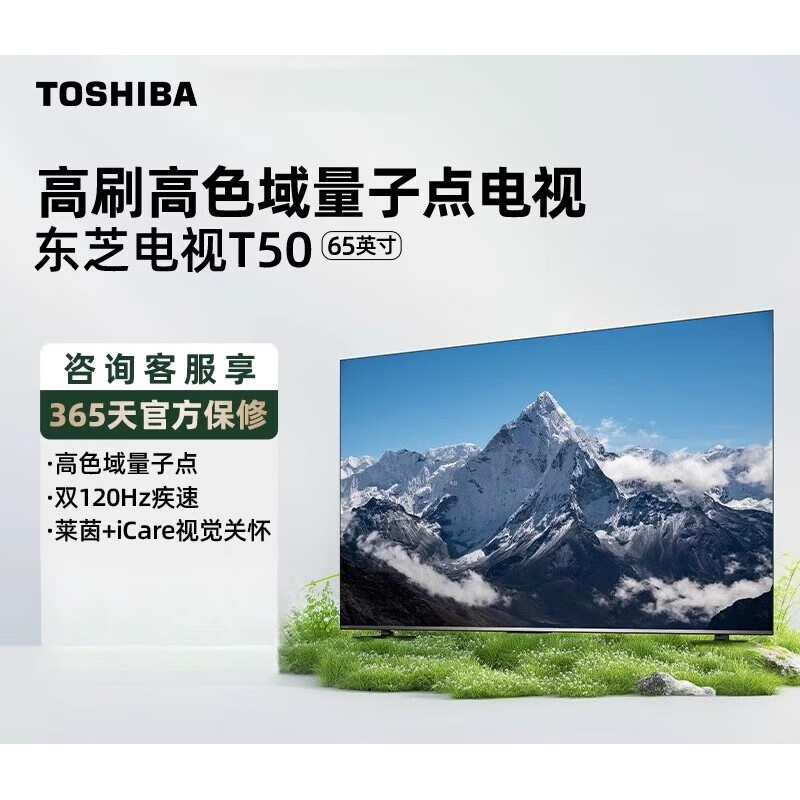 东芝(TOSHIBA)电视65英寸量子点4K高清智能护眼平板电视机彩电家用T50【尾货机】 65Z500MF 65英寸星际银 65英寸 x 官方标配