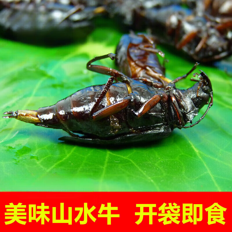 宜享健康山山牛油炸山水牛山虫牛香酥即食山春牛昆虫宴食用昆虫美味