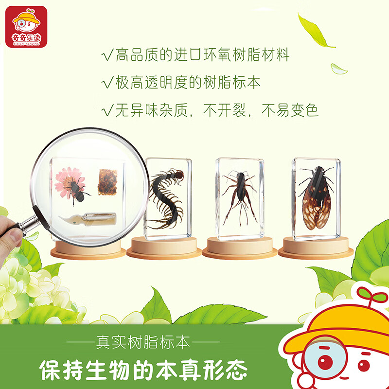 奇奇的虫虫屋第二辑正版亲子共读图书昆虫绘本3-6-9岁儿童生日礼物科普书籍蜜蜂蜈蚣蟋蟀蝉标本小孩启蒙亲近大自然科普套装广西美术出版社出版 奇奇的虫虫屋（第二辑）套装--蜜蜂、蜈蚣、蟋蟀、蝉