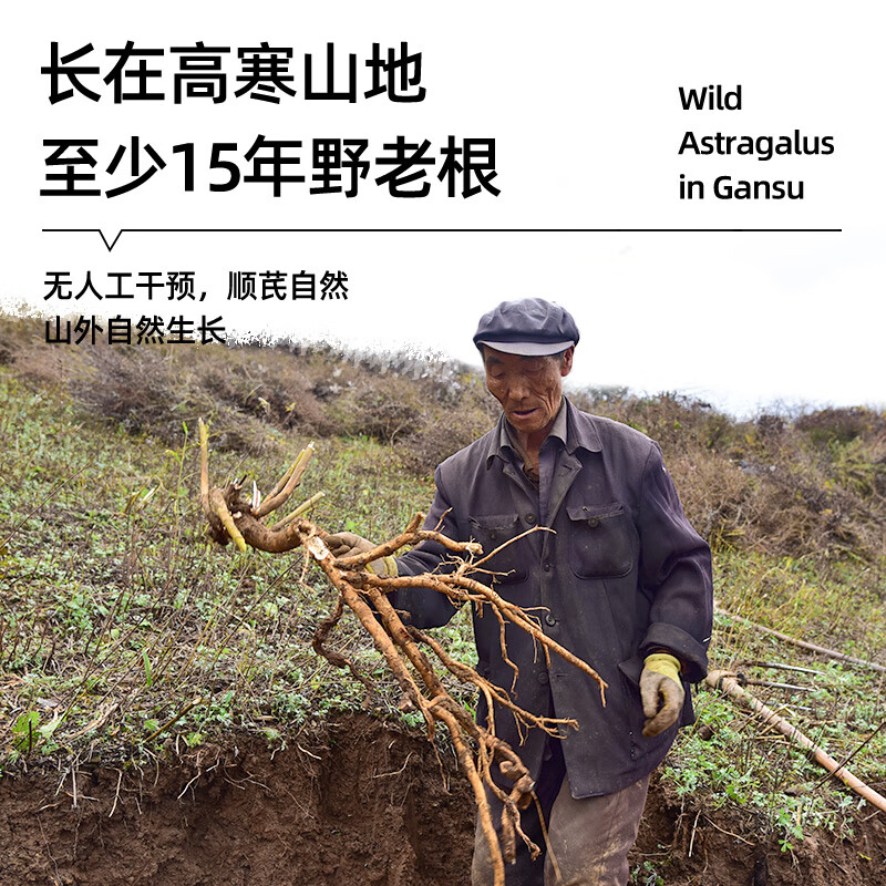 聚和泰 岷县15年野生特级大片黄芪片500g生黄芪炙老北芪党参当归中药材 【15年野生】特大片黄芪 500g*1袋