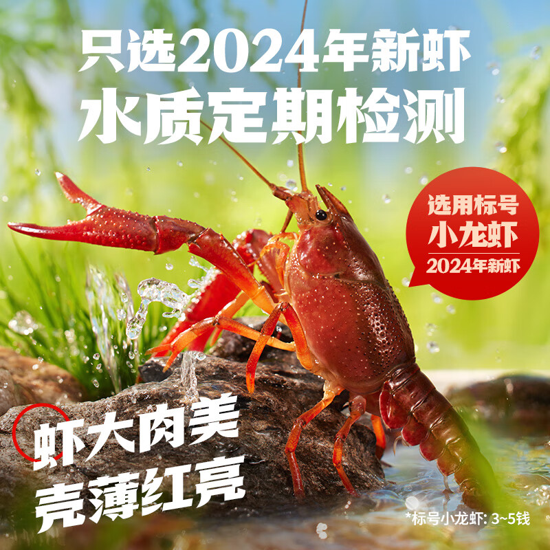 海底捞麻辣小龙虾1.5kg量贩装 2024年新虾标号3-5钱/只净虾1kg加热即食