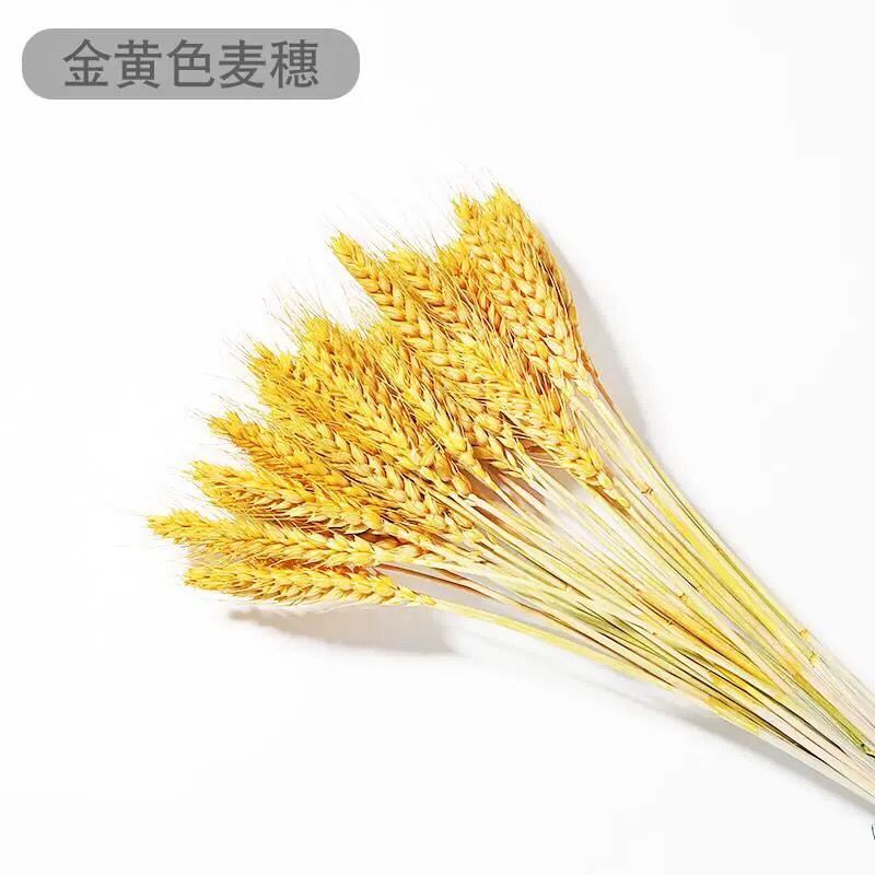 润华年ins网红天然干花束棉花麦穗永生花真花小清新客厅插花装饰摆件