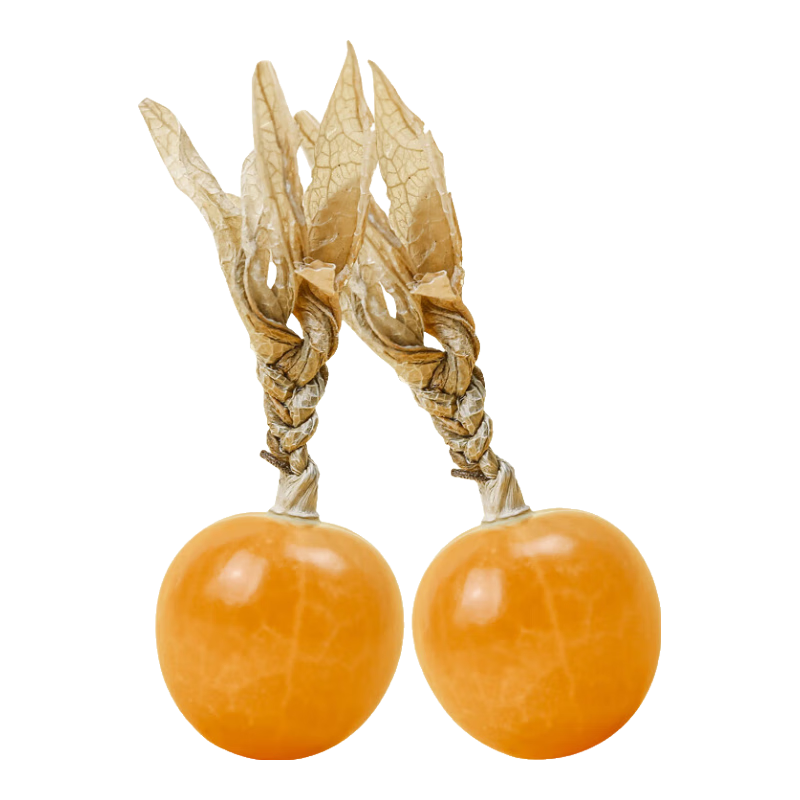 壽禾 東北姑娘果燈籠果種子洋菇娘黃金莓盆栽蔬菜陽臺盆栽春季種籽 水果菇娘種子（大田用）1000粒裝