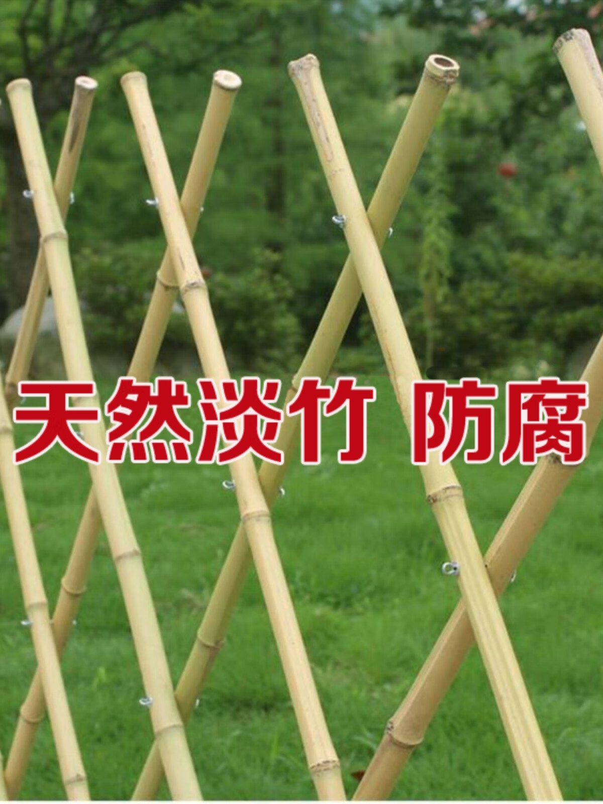 竹篱笆花园围栏栅栏庭院装饰护栏隔断菜园竹子爬藤架竹竿院子 淡竹 高