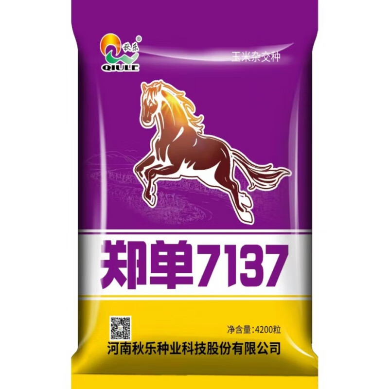 【国审】品种品牌618,999,7137玉米种稳产春夏播种耐旱丰产 秋乐7137