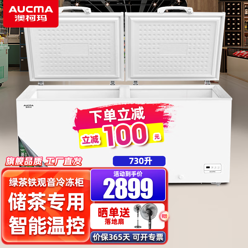 澳柯玛(aucma)冰柜商用大容量冷藏冷冻柜单温转换节能省电冻货雪柜