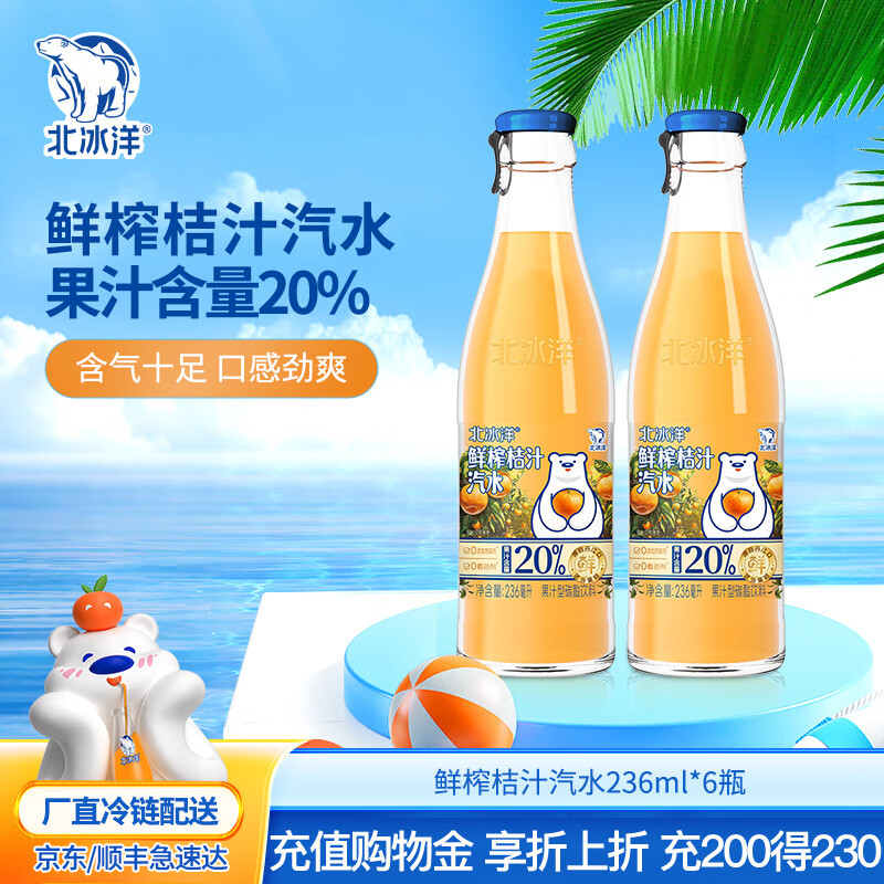 北冰洋北京玻璃瓶果汁碳酸饮料 鲜榨20%含量果汁桔汁汽水 236ml×6瓶