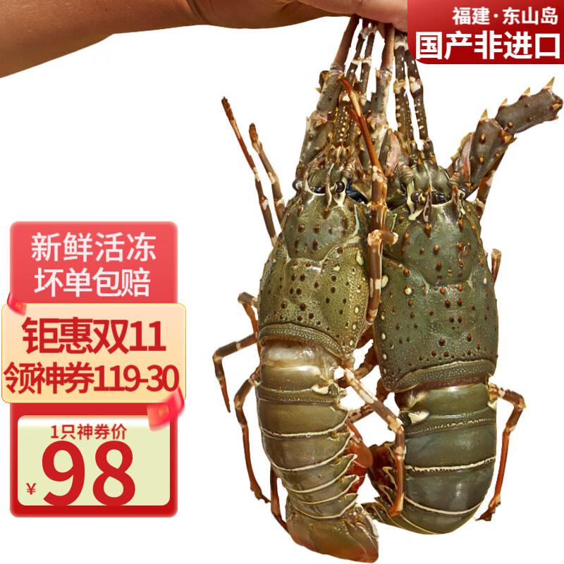 携宴福建小青龙虾大号龙虾海捕活冻大花龙海鲜水产 中秋送礼生鲜水产 1只*400-500克/只 【强烈推荐】