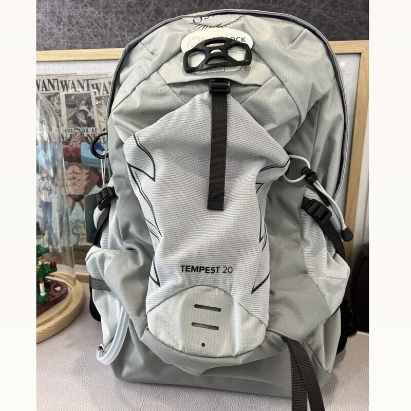 暴风9升20升男女款户外登山徒步轻量包防水大容量多功能双肩背包 暴风20L 银色