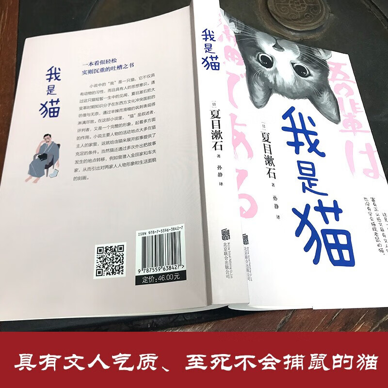 我是猫夏目漱石著中文全译本无删减以猫的视角冷眼观世界正版书籍 我是猫