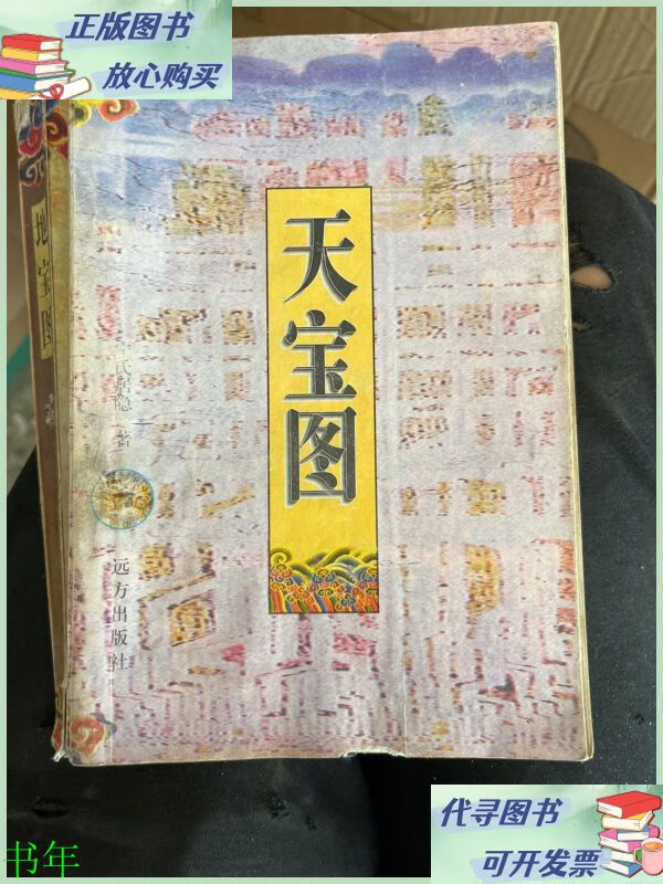 天宝图地宝图 远方出版社二手9成新