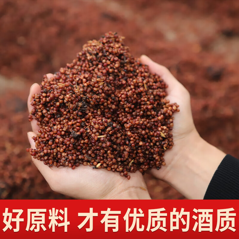 牧朗贵州酱香型53度纯粮食白酒桶装原浆酒10斤散装高粱酒口粮酒泡酒5L 53度 5L 1桶 风味酱香5L