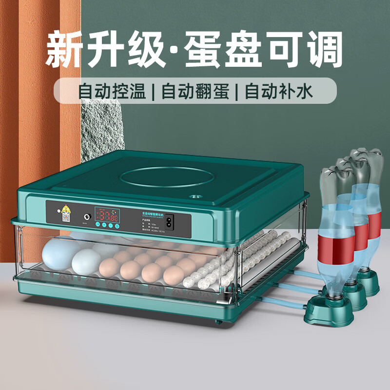 全自动家用小型鸡鸭鹅孵蛋箱孵蛋器芦丁鸡孵化机 6枚全自动孵化器单电