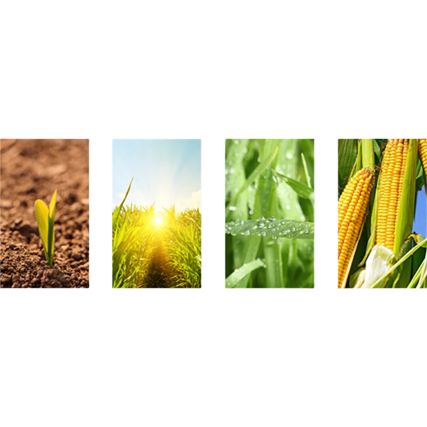 ����������ѿ�ͷ�ת����ʳ����ѹեֲ����Сƿ�決�ͳ����ʹ�Ͱװ 1.4L��500ml+900ml��ƿ���װ�� 12.4Ԫ