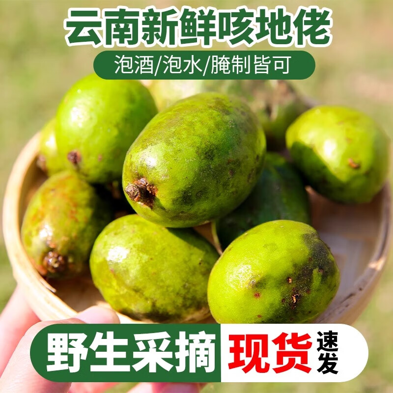 云南新鲜咳地佬新鲜特产野果腾冲克地老食用滇清果泡酒水果顺丰 1斤现