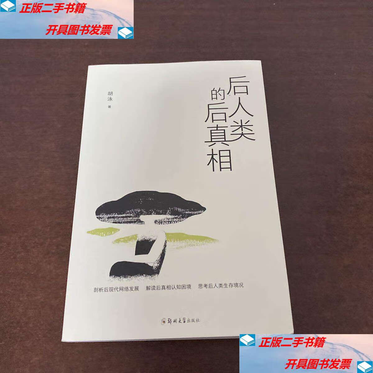 【二手9成新】后人类的后真相  /胡泳 后人类的后真相