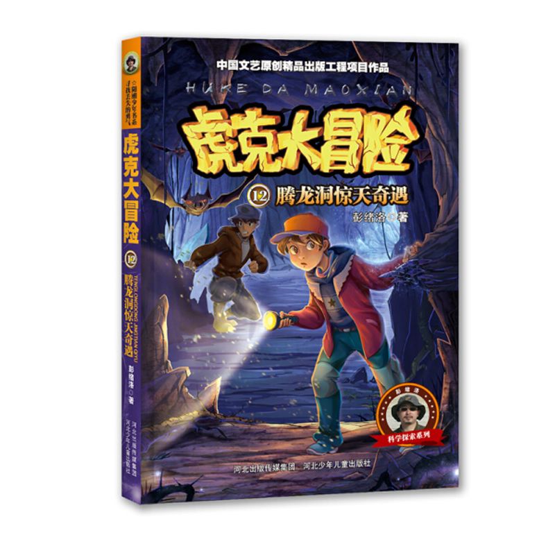 图书 虎克大冒险:腾龙洞惊天奇遇.12(儿童小说) 彭绪洛 书籍