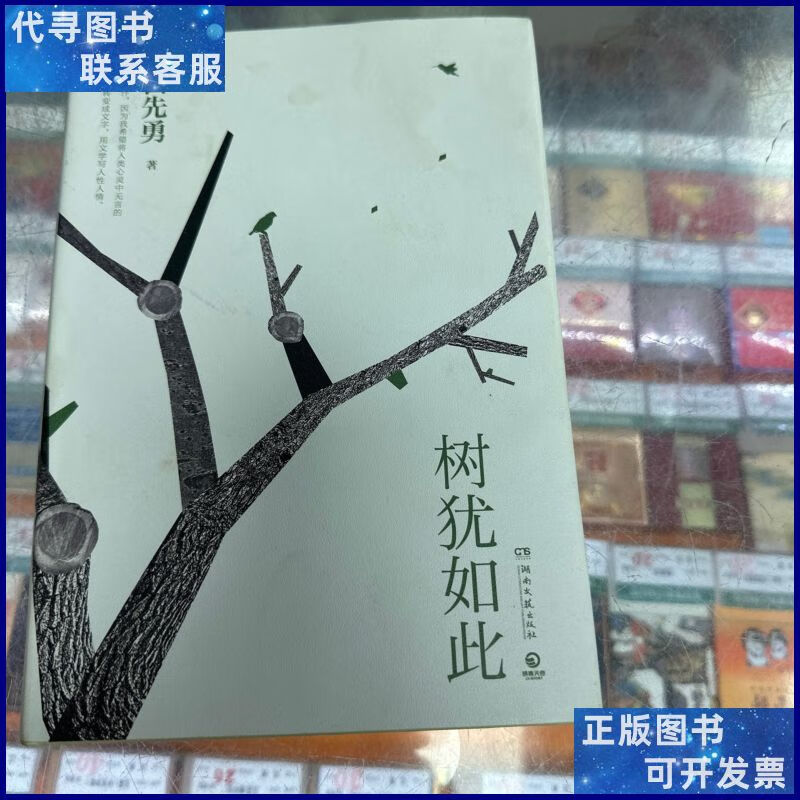 树犹如此(白先勇亲定选本,精装珍藏版) 湖南文艺出版社二手书