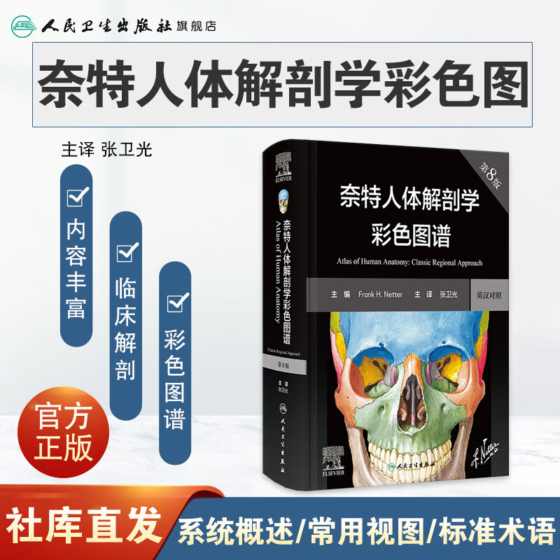 奈特人体解剖学图谱 第8版彩色神经系统肌肉骨骼生理学基础肌动学尸变