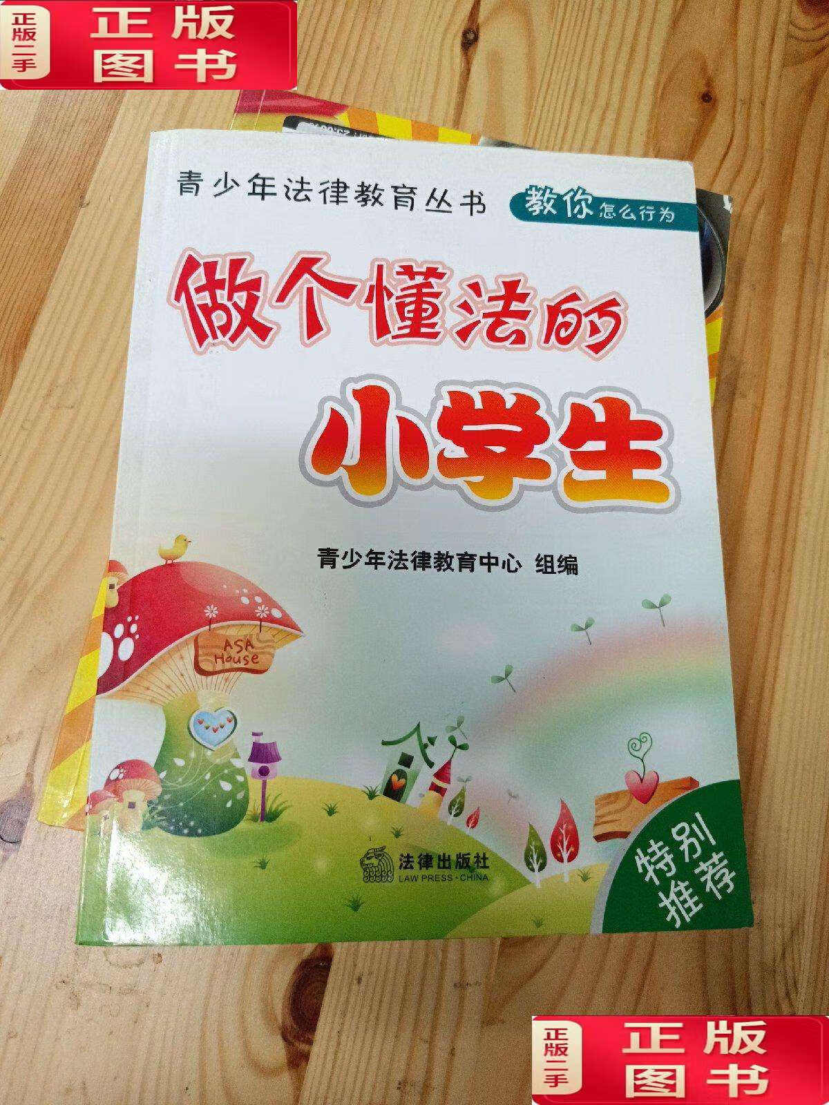 【二手9成新】做个懂法的小学生 /卞学琪 法律