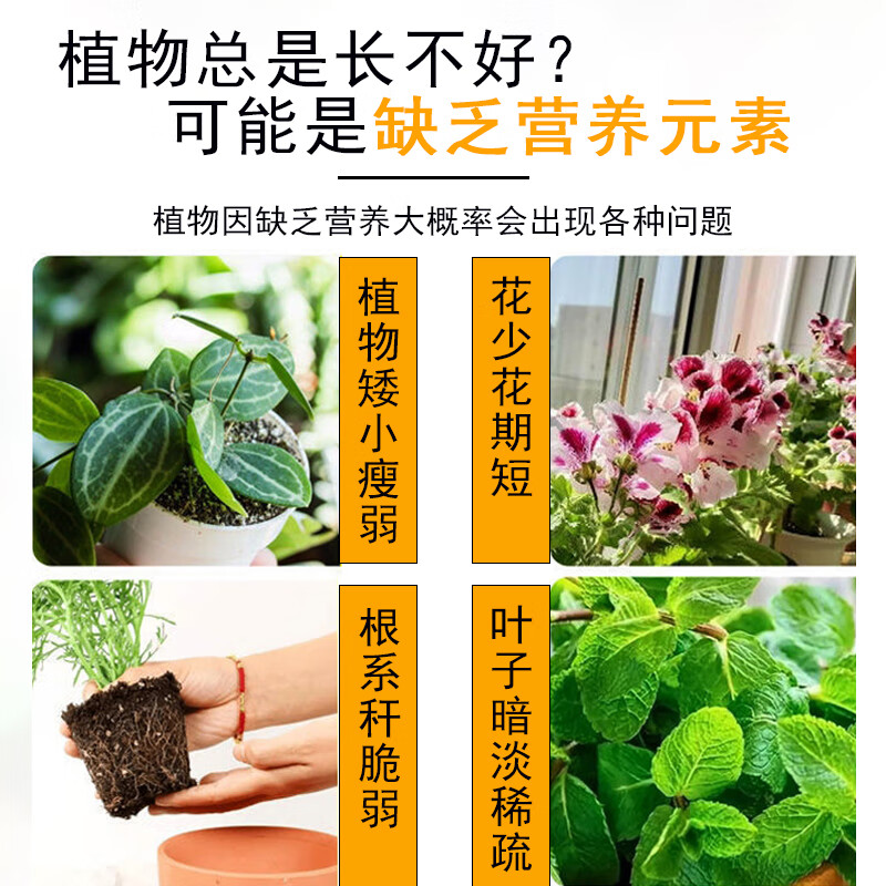 佛肚竹营养液通用型佛肚竹专用营养液花肥绿植水培植物肥料治黄叶 浓缩型营养液*4瓶*500ml