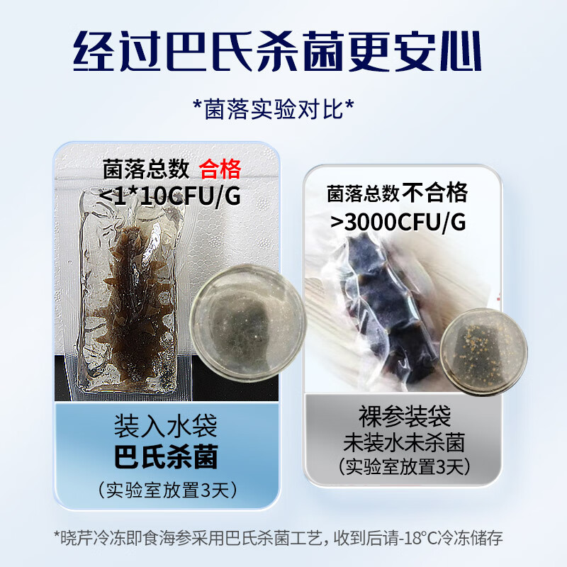 晓芹 大连即食海参 1500g 固形物75%以上  35-50只 辽刺参